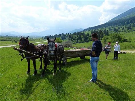 Carpathian Mountains Conservation And Culture Vacation Responsible Travel
