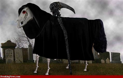 Horse Grim Reaper Grim Reaper Reaper Horses