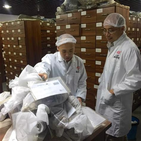 广东省自然医学研究会一行考察康美智慧药房 - 广东省自然医学研究会