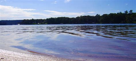 The 121 kilometre stretch of shoreline is dotted with parks and accommodations, and offers an abundance of recreational activities. Smith Lake Park Annual Bass Fishing Tournament | Home