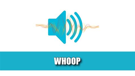 Whoop Sound Effect Sound Effects Source Hd Youtube
