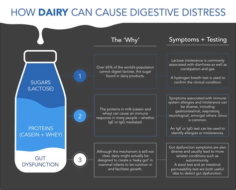 Casein Curds In Stool: A Digestive Nightmare?