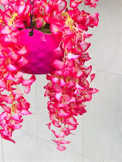 Our payment provider mangopay, who are regulated by the fca, deals with all the transactions. Buy Cherry World Artificial Pink Flower Hanging Basket for ...