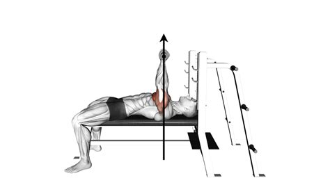 Bench Press Wrist Position The Important Of Neutral Orientation Inspire Us