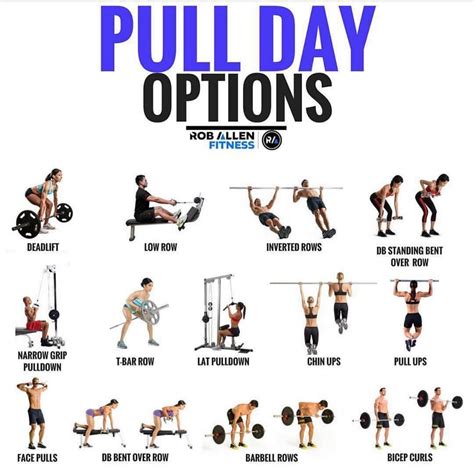 Here Are A Few Options For The Pulling Portion Or Day Of Your Workout