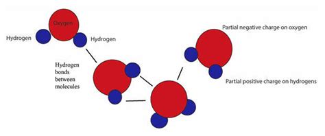 How many grams are in a drop of water? Nature up close: Water molecules - CBS News