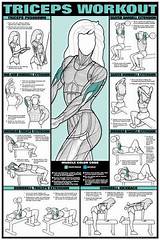 Workout Routine Each Muscle Twice A Week Photos
