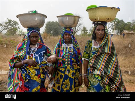 Fulani Tribe Women Of Northern Benin Africa Stock Photo Alamy