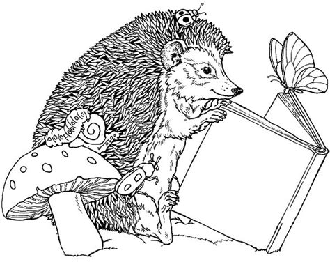 Hedgehog Coloring Pages Kidsuki