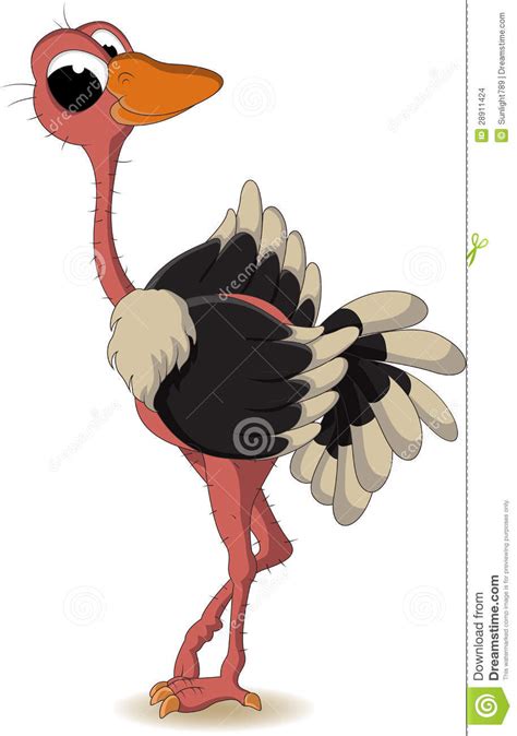 Ostrich Cartoon Stock Images Image 28911424