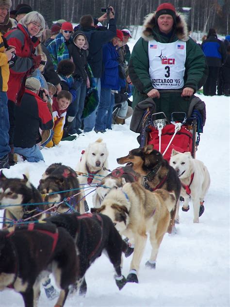 48 upcoming bollywood movies of 2021 _ upcoming bollywood movies 2021 trailers,box office collection. Iditarod | Alaska dog, Iditarod, North to alaska