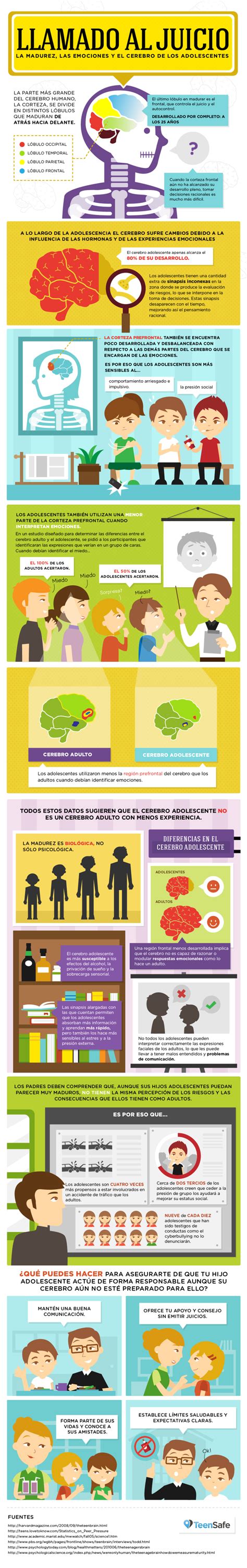 El Cerebro De Los Adolescentes Infografia Infographic Psychology Letra Nueva