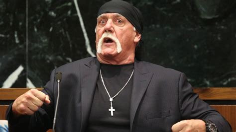 Wrestler Hulk Hogan Wins Us115 Million In Sex Tape Law Suit Against