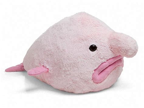 Maybe you would like to learn more about one of these? Blobfisch Plüschtier zum Kuscheln und Liebhaben ⋆ ...