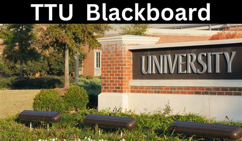 Understanding Ttu Blackboard A Comprehensive Guide Million Values