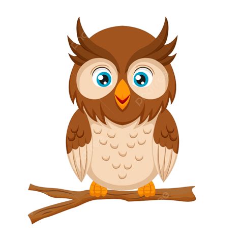 Cute Baby Owl On Tree Branch Illustration Wildlife Prey Png And