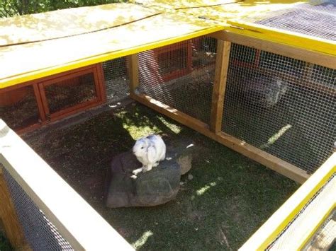 Diy Rabbit Outdoor Cage