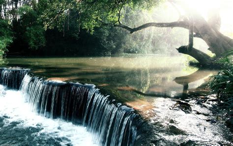 Page 4 for forest wallpapers in ultra hd or 4k. Rain Forest Wallpapers - Wallpaper Cave