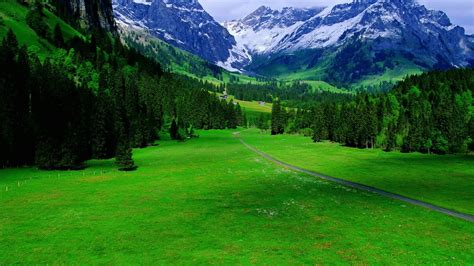 Green Landscapes Switzerland Wallpaper 6012 Pc En