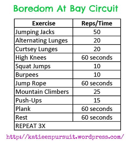 ~30 Minute Cardio Circuit All Over Body Workout Whole Body Workouts