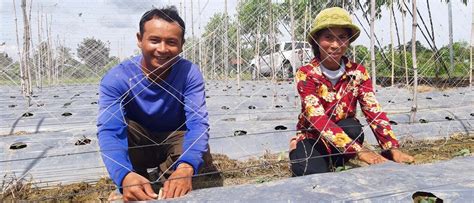 ide growing prosperity by building businesses in cambodia since 1994