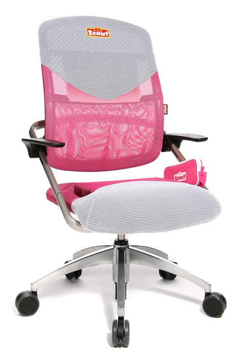 Scout 3d Ergonomic Chair In Pink Best Home Office Desk Best Desk