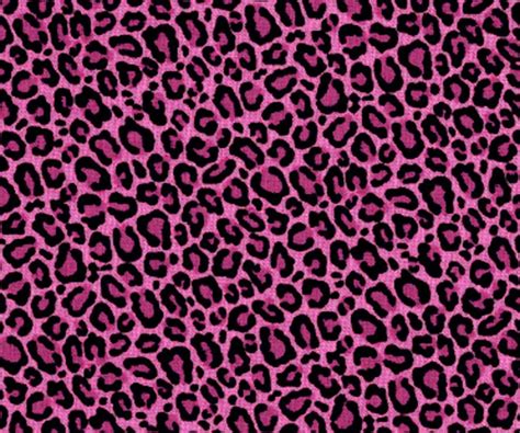 Pink Leopard Wallpapers Top Free Pink Leopard Backgrounds