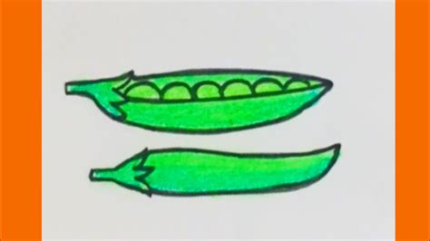 How To Draw Peas Step By Stepeasy Peas Drawingvegetable Drawing Youtube