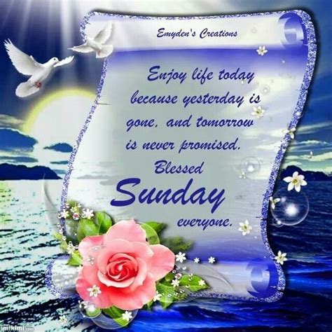 Enjoy Life Today Happy Sunday Pictures Photos And Images