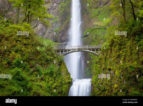 Multnomah Falls In The Columbia River Gorge Near Portland Oregon Usa