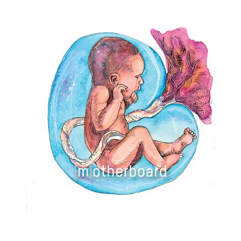 Week 30 — Motherboard Birth