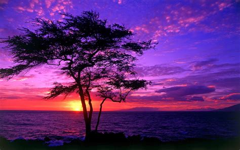 Ocean Purple Sunset Wallpapers Top Free Ocean Purple Sunset