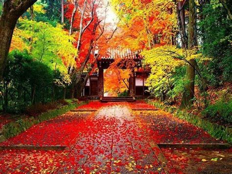 Autumn Landscape Wallpaper Japanese Landscape Autumn In Japan