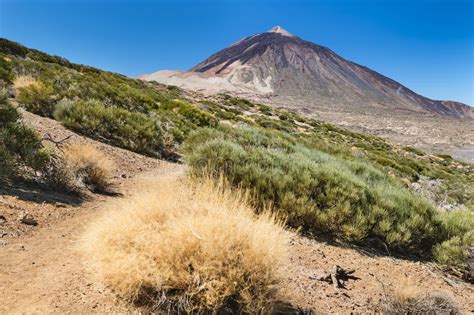 Pico Del Teide In Tenerife Spain Stock Image Image Of Teneriffa