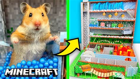 Hamster In Vertical Minecraft Maze 🐹 Hamsters Show Youtube