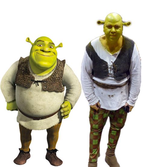Shrek And Donkey Costumes