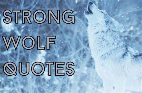 83 Karma Narcissist Quotes You Need To Read Darling Quote