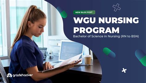 Wgu Nursing Program Bachelor Of Science In Nursing Rn To Bsn