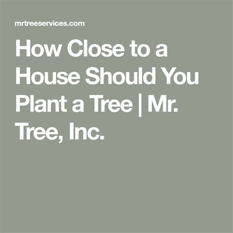 How Close To A House Should You Plant A Tree Mr Tree Inc Plants