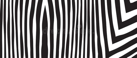 Wild Zebra Wave Pattern With Black And White Trendy Stylish Abstract