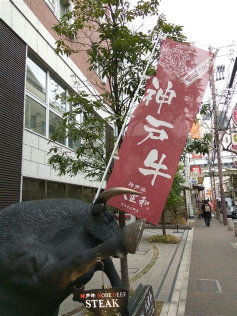 Här är namnet och adressen till företaget på det lokala språket för att hjälpa dig hitta i roppongi. Kobe 神户牛 | Kobe beef steak, Kobe beef, Beef steak