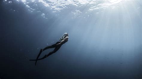 Top Freediving Wetsuit Basics To Know Before You Buy