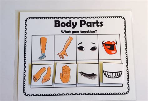 Body Parts Gamekids Games Puzzles Preschool Kindergarten Etsy