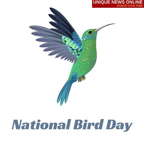 National Bird Day Usa 2022 Wishes Quotes Memes Greetings Social