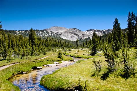 High Sierra Stream Stock Image Image Of Creek Yosemite 16197453