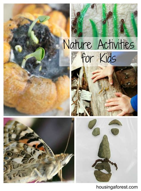 Nature Activities For Kids Nature Activities Activities For Kids