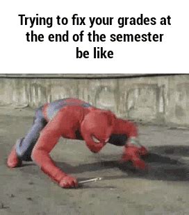 fix  grades      semester   marvel funny ant man funny pictures