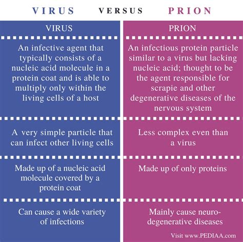 Difference Between Virus And Prion Pediaacom