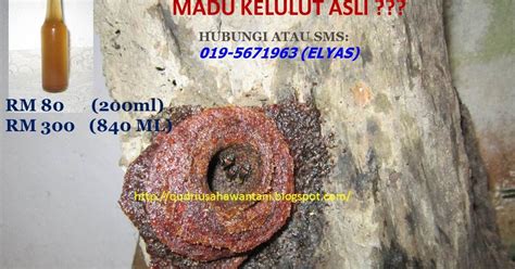 Kekurangan nutrien seperti magnesium, kalsium dan garam mineral dehidrasi / kekurangan cecair dalam tubuh selain itu. QudRiFaRm: Madu Kelulut dan Khasiatnya...