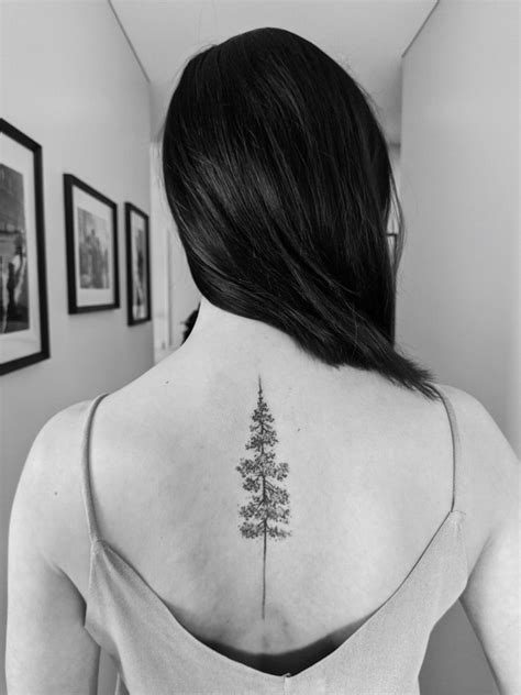 My Tattoo Pine Tree Tattoo Spine Tattoos For Women Hippie Tattoo
